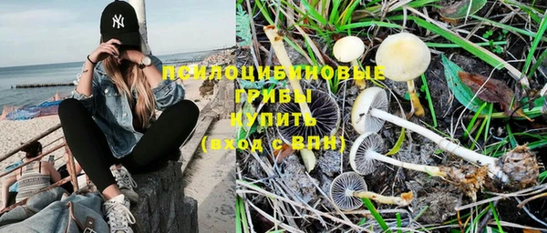 ГАЛЛЮЦИНОГЕННЫЕ ГРИБЫ Нефтекумск