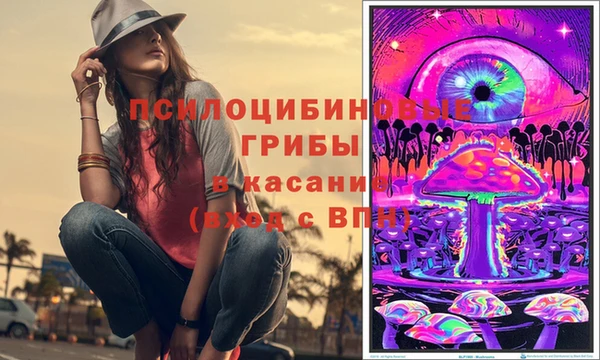стафф Навашино
