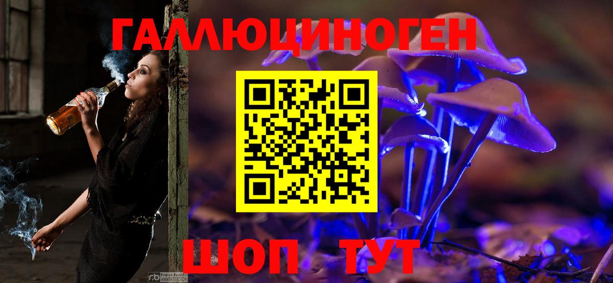 Псилоцибиновые грибы Psilocybe  Карталы  Псилоцибиновые грибы Cubensis 