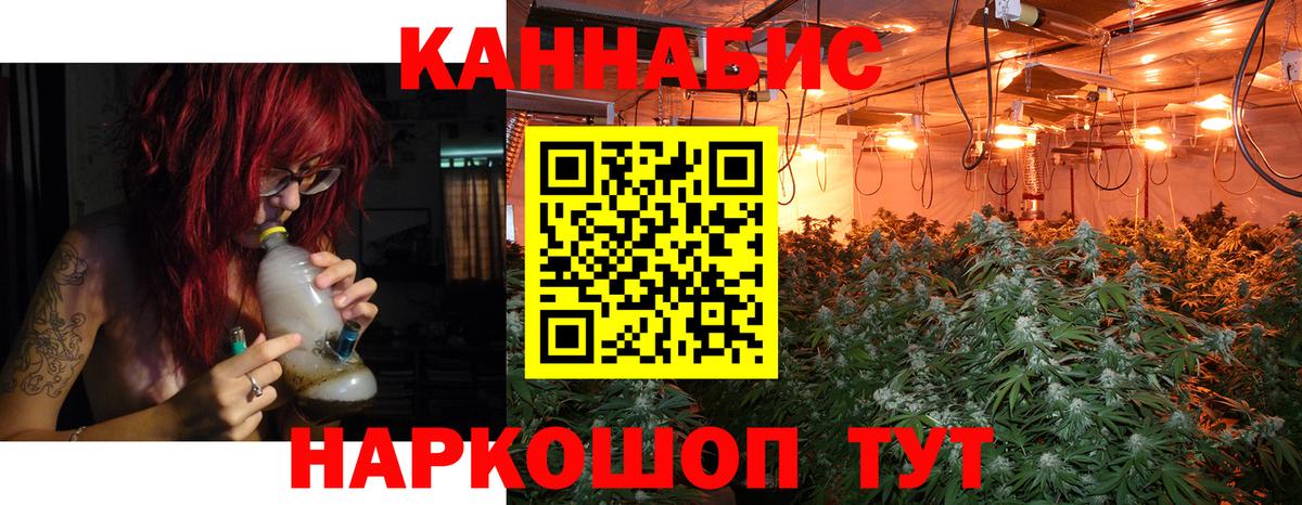 Бошки Шишки гибрид  Вход с VPN  Бошки марихуана индика  Карталы  Шишки марихуана сатива 